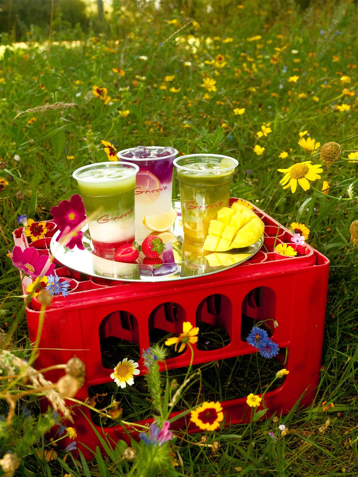 Drei Groove-Drinks auf einem roten Getränkekasten in einer Blumenwiese